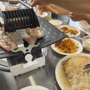 코코블라인드 | 밀양 강아지 동반 펜션 <코코앤망고> 방문후기