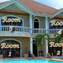 펄레스토랑 이미지