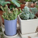 업동이네 이미지