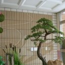 언동초등학교 이미지