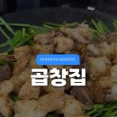 산호동195 | 창원 중동 맛집 곱창집 모듬세트, 곱창전골 먹고 온 후기