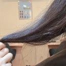 헤어 갤러리 이미지