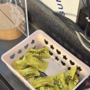 고집쟁이족발 | [광주 남구] 백운동 옛날식 찬 족발맛집, 고집쟁이족발본점