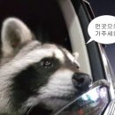 귀빈모텔 | 1년동안 여행 12번 다녀온 사람의 숙소 후기_국내편
