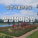 [밀양 가볼만한곳] 5월의 향기로운 산책 밀양 장미공원 방문 후기