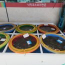 낙지는뻘낙지