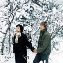 겨울연가 동상 이미지