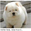 이룸핏 이미지