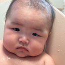 대호보조기상사 이미지