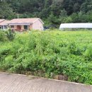 고동영행정사 사무소 이미지