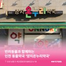 양지온누리약국 이미지