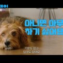 해피 - 강남구 압구정로29길 72-1 | 해피
