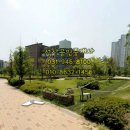 가람마을2,8단지 앞-1 이미지