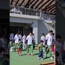 금삼인삼