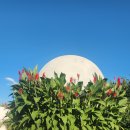 문암생태공원(관리사무소) | 청주 문암생태공원 힐링 숲 황톳길 황토볼 맨발걷기~