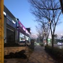 LG베스트샵 앞 횡단보도 이미지