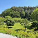 머스크멜로우