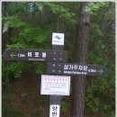 삼가리 이미지