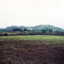 제주가마오름 일제동굴진지 이미지