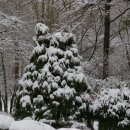 능동공원 이미지