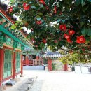 고창이네 이미지