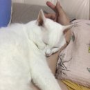 동동 이미지