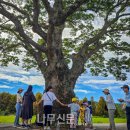 국립대전숲체원 이미지