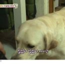 동물농장 이미지