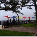 마리나비치 이미지