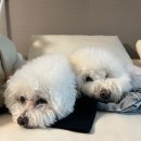 (주)이수카본 이미지