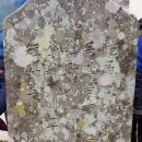 구억목장 이미지