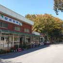 장춘상회 - 고령군 우곡로 1345 | 장춘상회