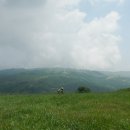 1073목장 이미지