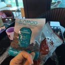 쿠쿠펫(KOOKOOPET) | 대전 애견카페 쿠쿠펫 수영장 애견동반카페