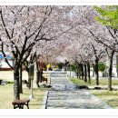 삼성현역사문화공원 이미지