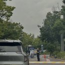 서구 어린이들과 함께하는 「뽀로로와 친구들의 드림콘서트」 | 국립중앙박물관 극장 용, 할머니의 여름휴가 어린이 뮤지컬