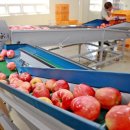 군자농협 APC 이미지