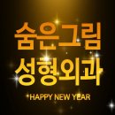 숨은그림성형외과