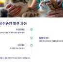 헬로우동물병원 | 🐾 고양이 유선종양 수술 후기와 실제 비용 공개 (2025 보호자 리얼케이스)