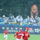 7시 스타뉴스