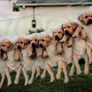 흥부네집 이미지