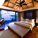 사리농장 이미지