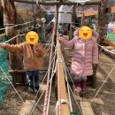 예다솜어린이집 이미지