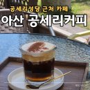 구성성당 앞 횡단보도(성당 쪽) | 아산 공세리커피｜공세리성당 카페, 주차·메뉴·아인슈페너 후기