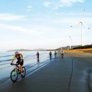 [자전거여행]다채롭고 깊어진, 절정의 섬 여행지 신안 1004섬 자전거여행길 500km 이미지