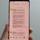 연세대 민족 태권도 | 광복절 시흥 은계호수공원 시민 광복길놀이 빛의 약속 참여후기