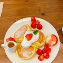 피콜로 라비타 | 의왕 포일동 브런치카페 피콜로라비타 방문 후기