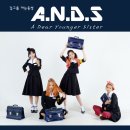 아는동생 - 서귀포시 | 아는동생
