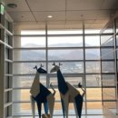 세븐일레븐청평삼회리점 네이버블로그