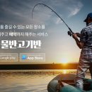 물반고기반 이미지